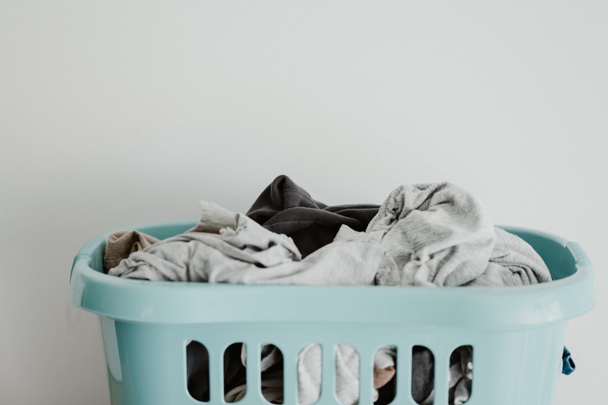 Modern laundromat interior with rows of washers and dryers