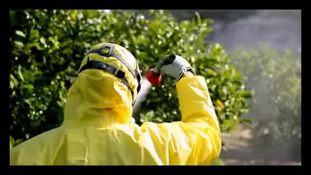 Pest control worker spraying vegetation outdoors